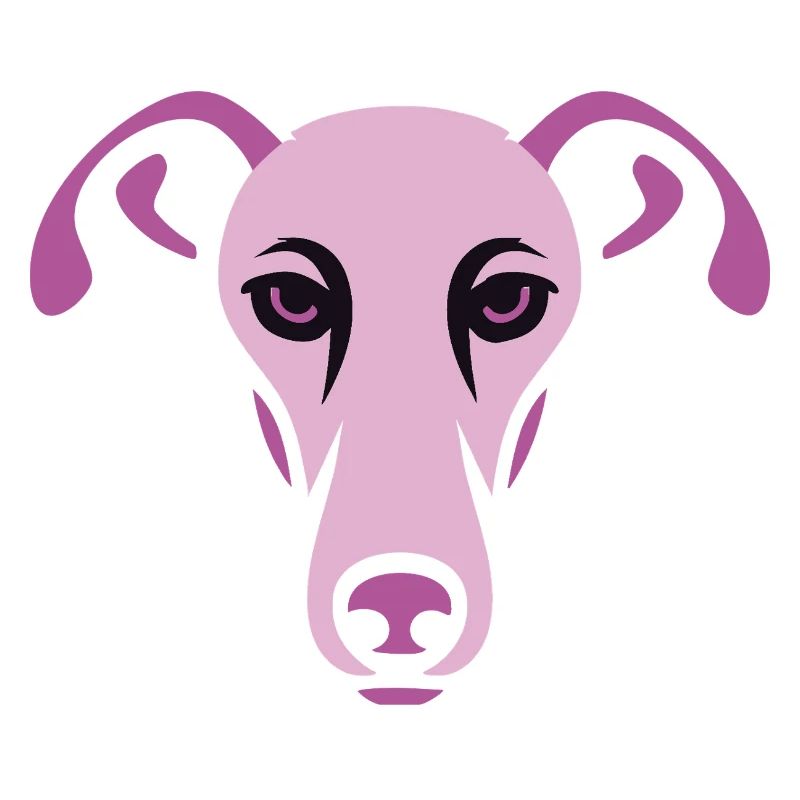 Greyhound, Galgo