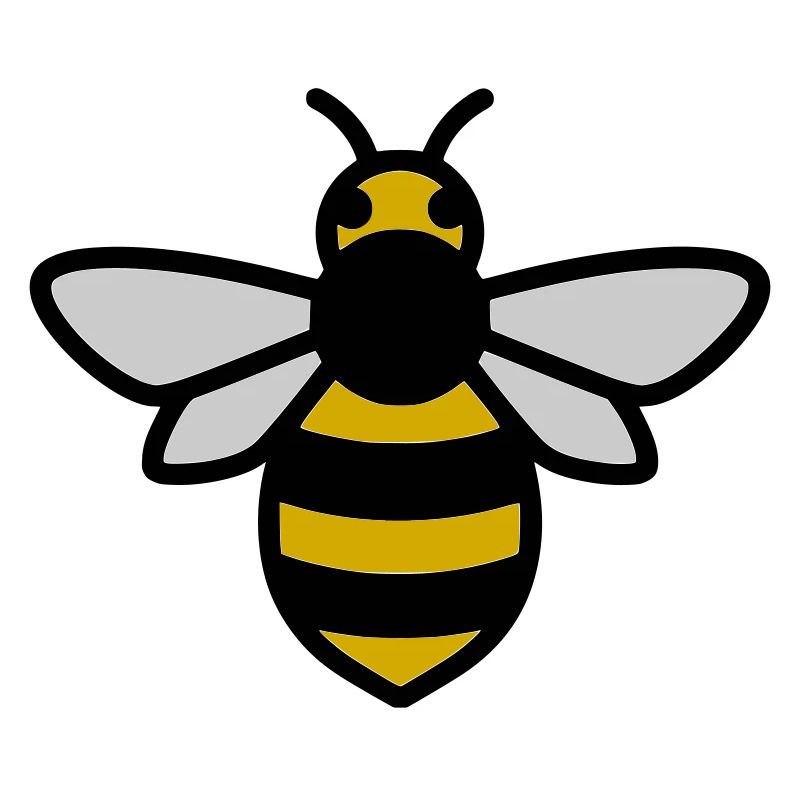 Bee Insect Cartoon