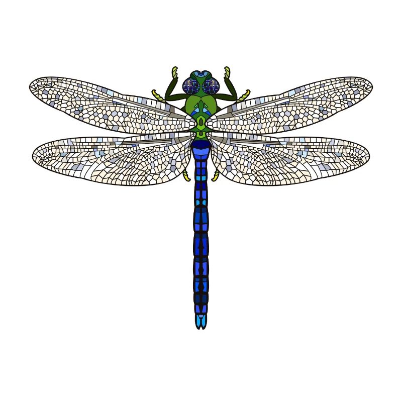 Libellule royale