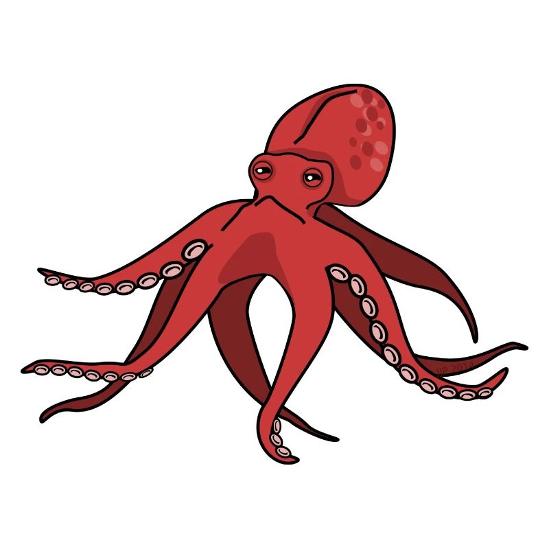 squid giant octopus octopus octopus squid sepia fish
