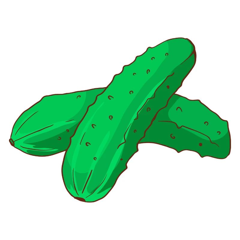 Cornichons cornichons concombres Cornichons concombres