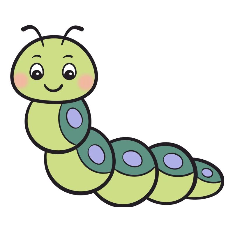 Raupe