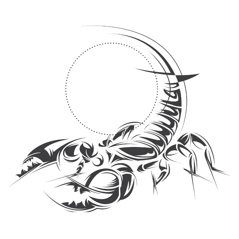 Scorpio Symbol Illustration Graphic Icon Sketches