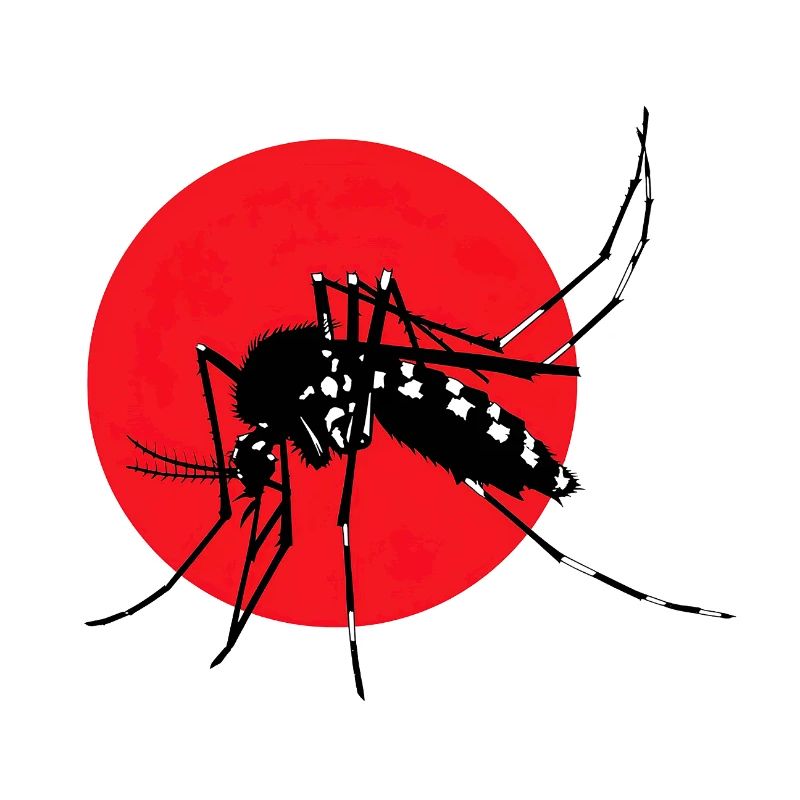 Mosquito