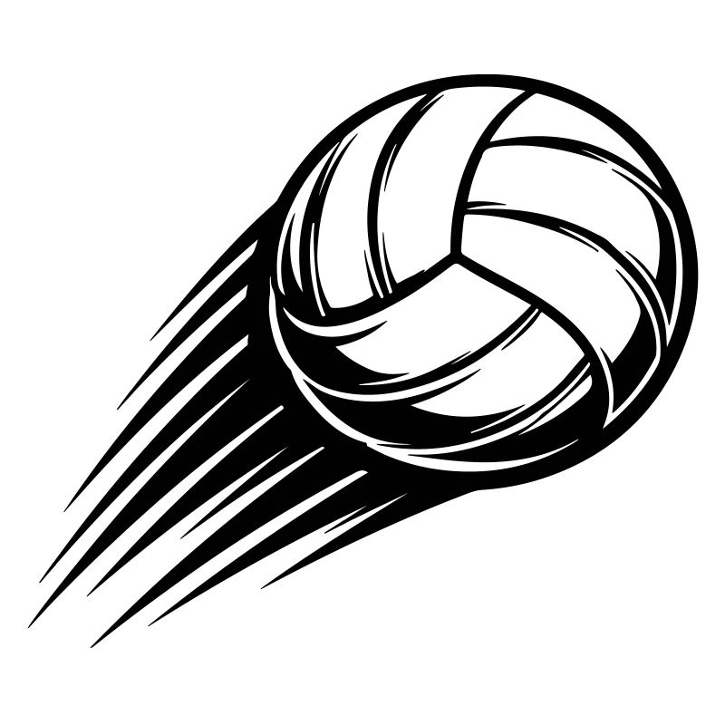 Ballon de volley-ball