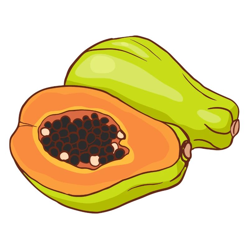 Papaye Melonbaum