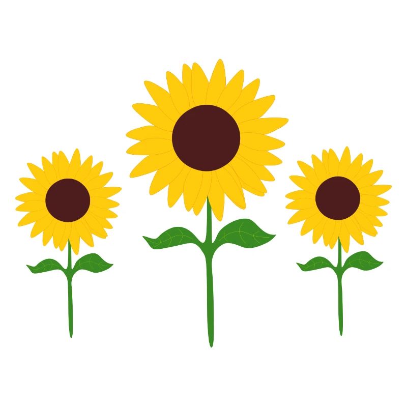 Fleur Jaune Fleur Fleurs de tournesol