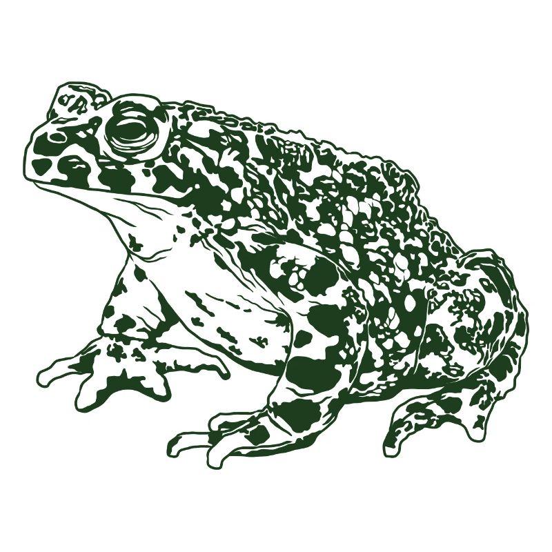 Toad Frog Graphic Aquatic Amphibian Frog Lovers