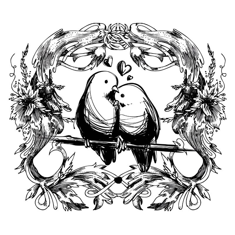 Inséparables / amour / relation / oiseaux / oiseau
