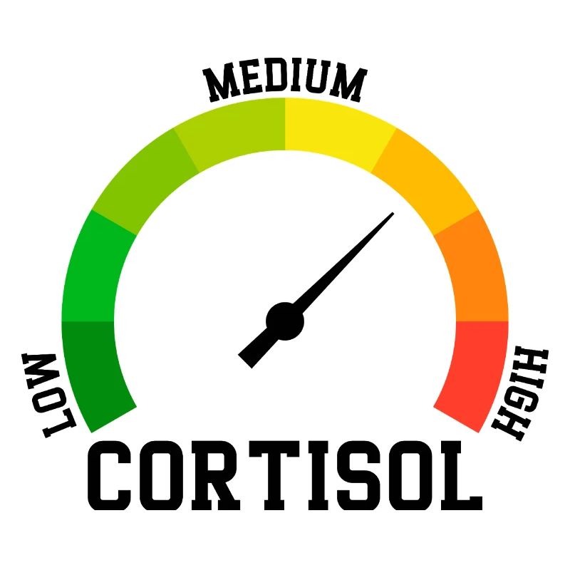 Low Cortisol Low Level Even