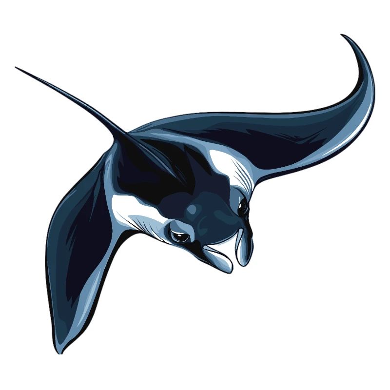 Rochen Mantarochen