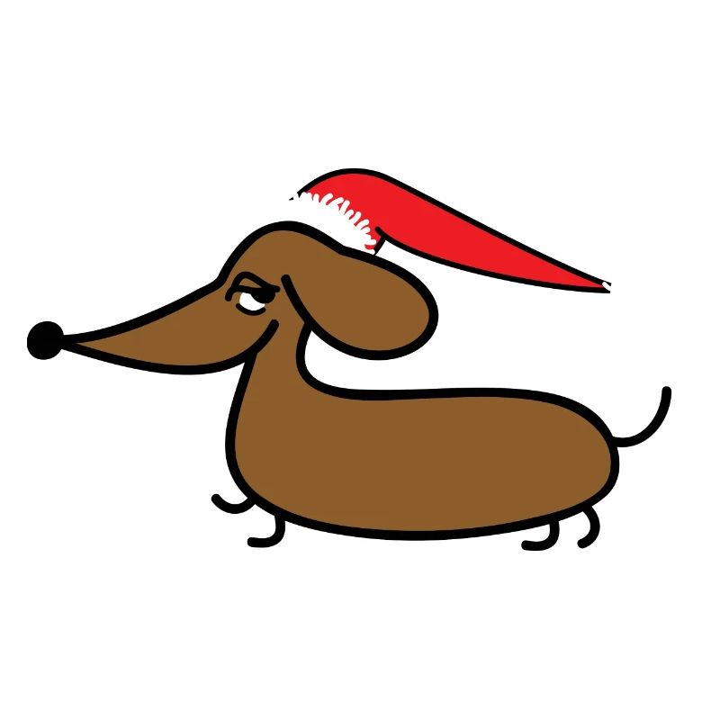 Dachshund with Santa hat