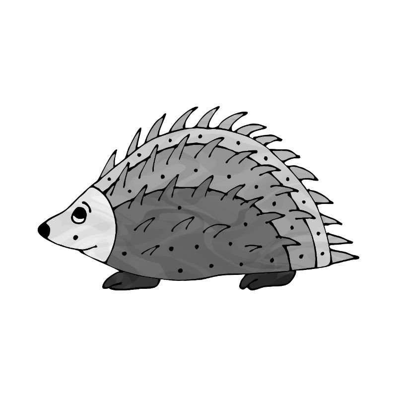 Igel