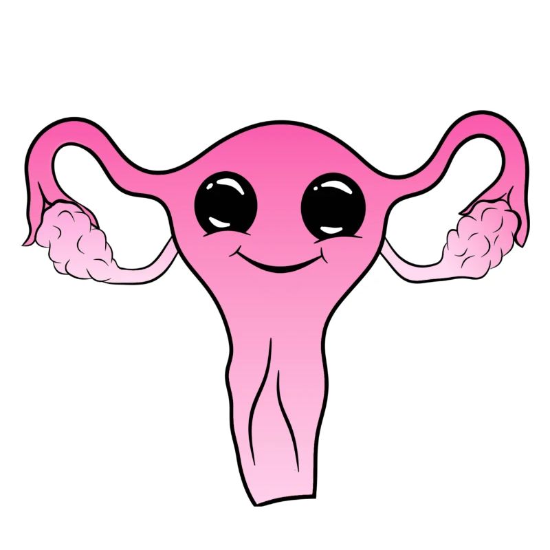 Utérus mignon mignon