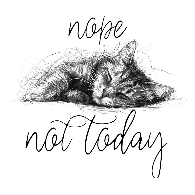Sleeping kitten sketch style not today