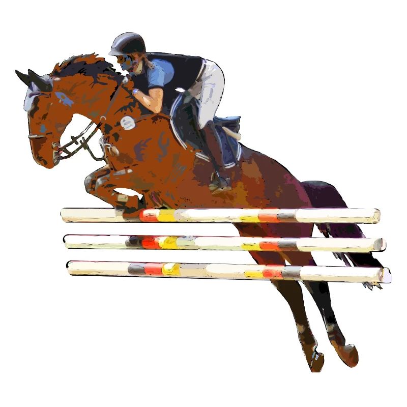Cavalier avec son cheval qui saute