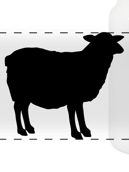 Schaf Silhouette