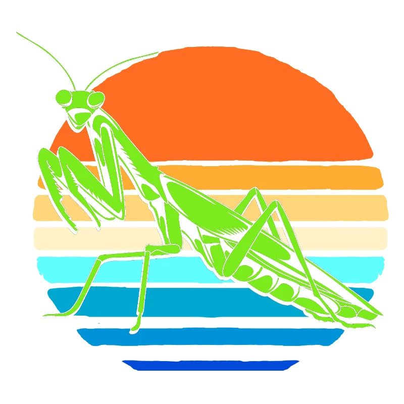 Gottesanbeter Gottesanbeterin Mantis