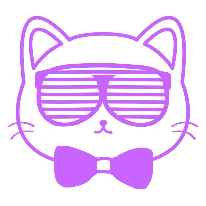 Cat with sunglasses