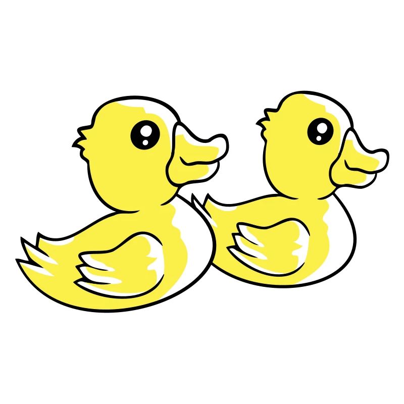 2 Ducks Swimming Water Couple Two Friends Team