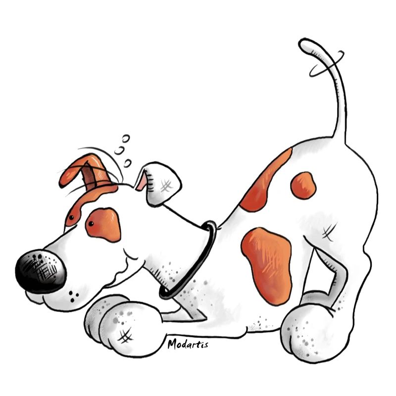 Jack Russell Terrier - dog breed - t-shirt design