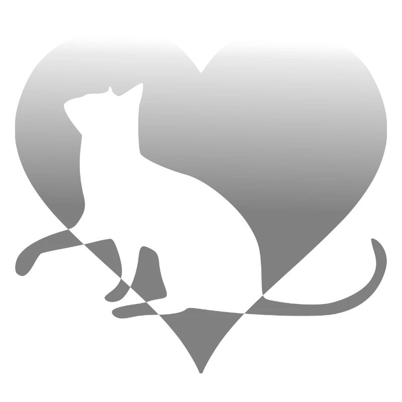 chat chat chat chat chat minou chatte minou