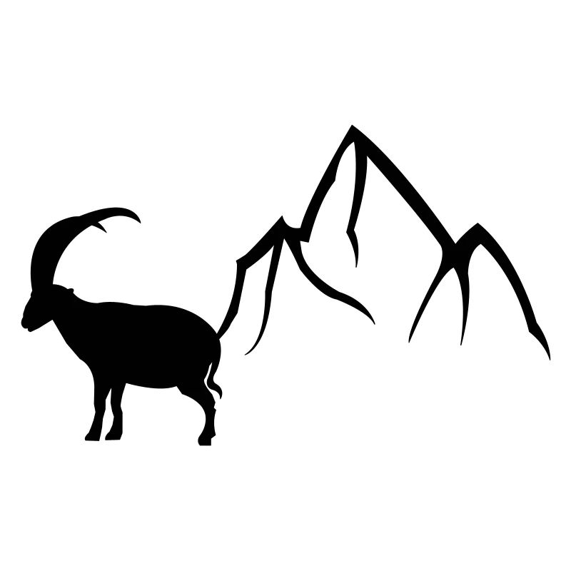 steinbock2