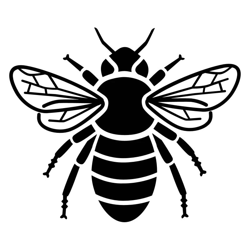 Bee - insect