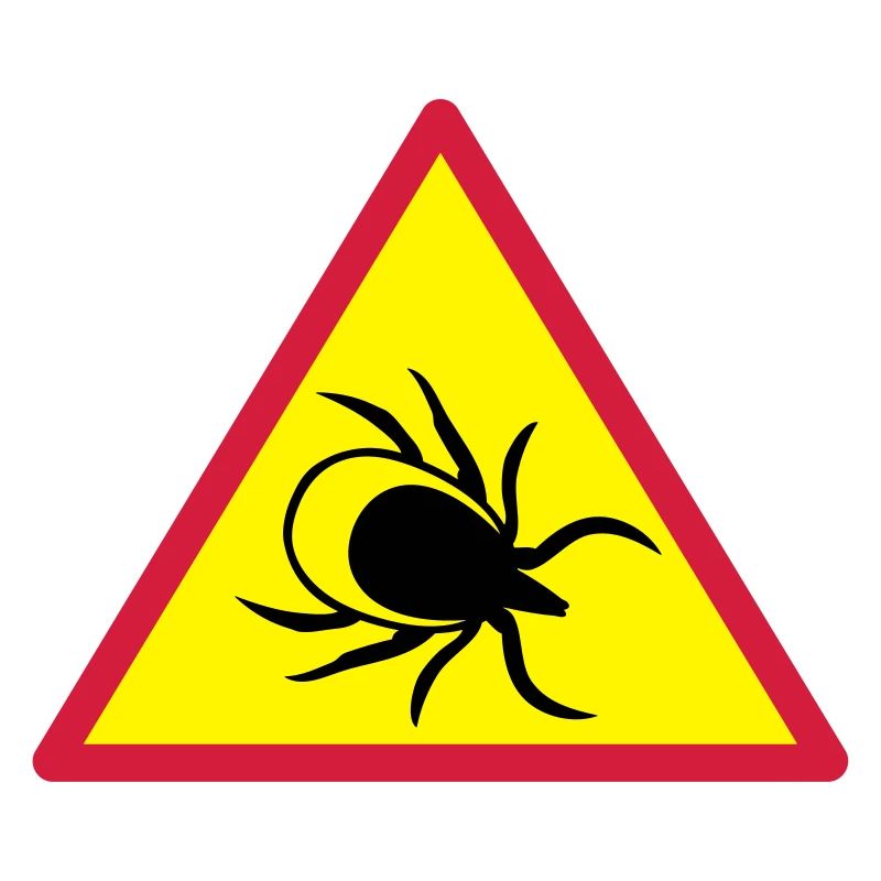 Attention ticks