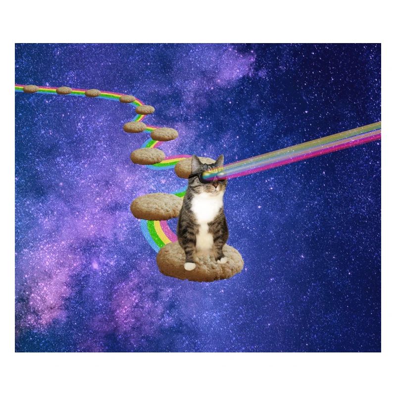 Cute tabby cat in outer space