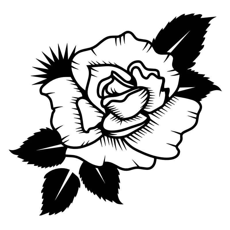 A Drawn Rose