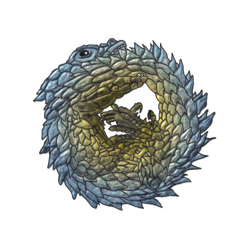 Armadillo Lizzard