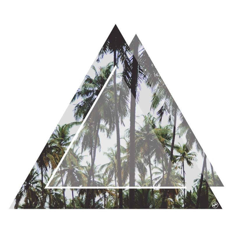 Triangular palm trees