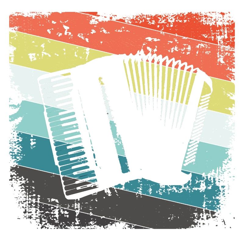 Accordion harmonica
