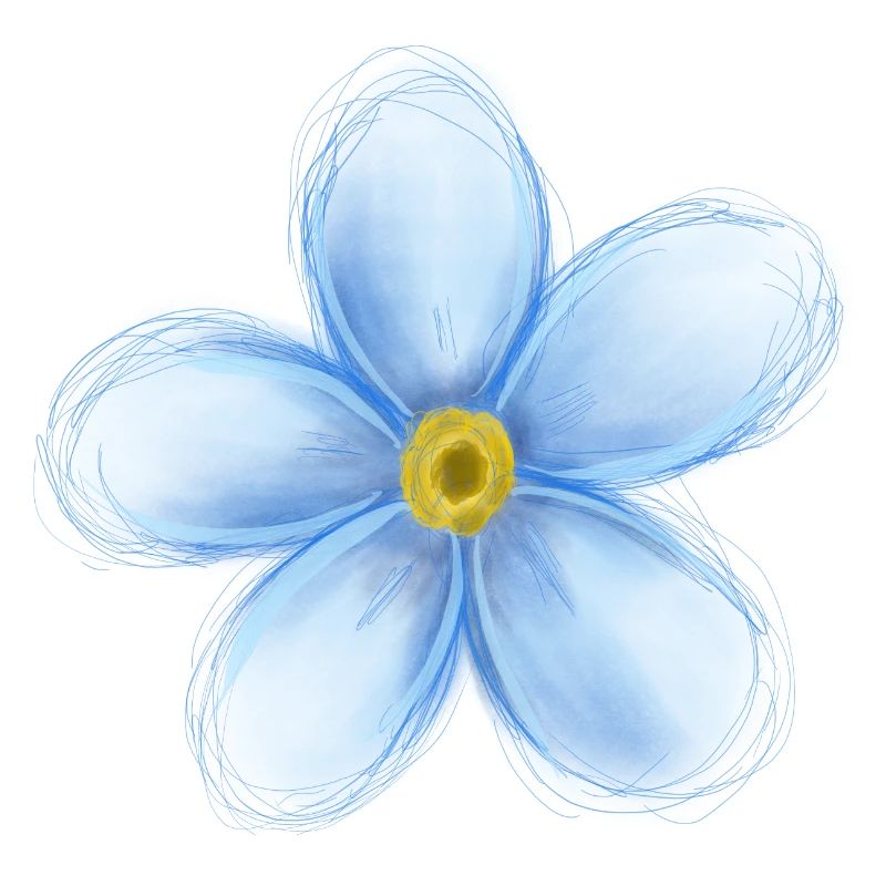 Forget Me Not – Delicate Floral Illustration