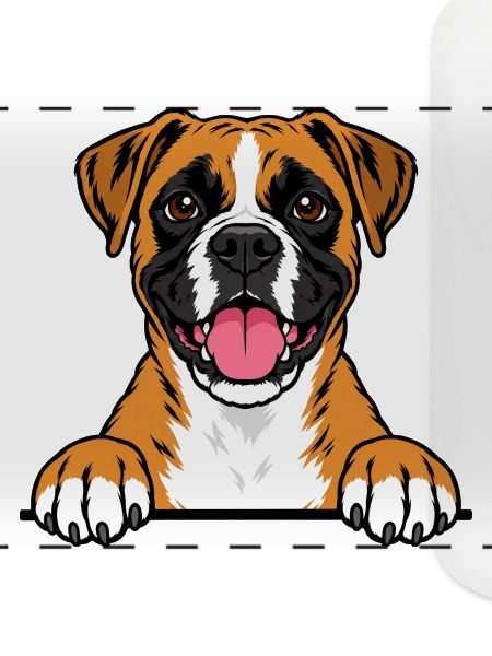 Boxer