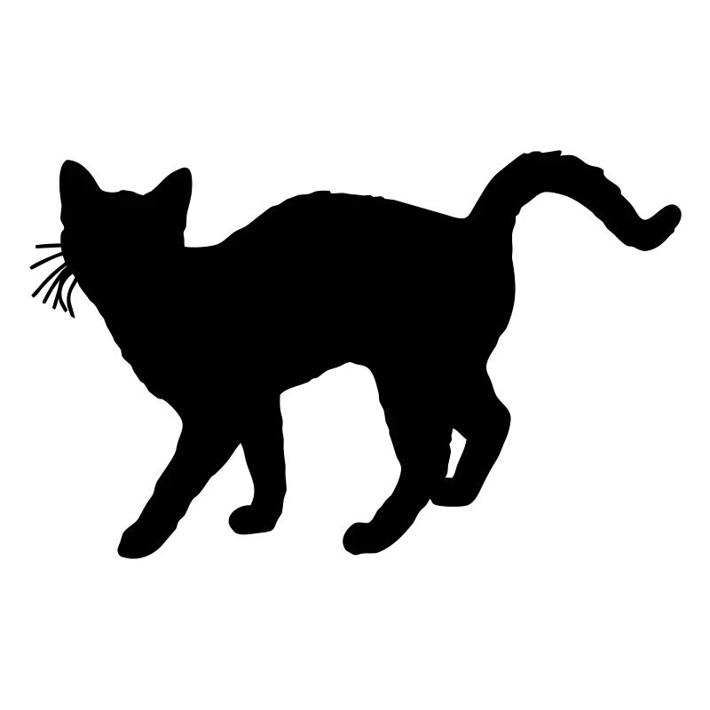 katze