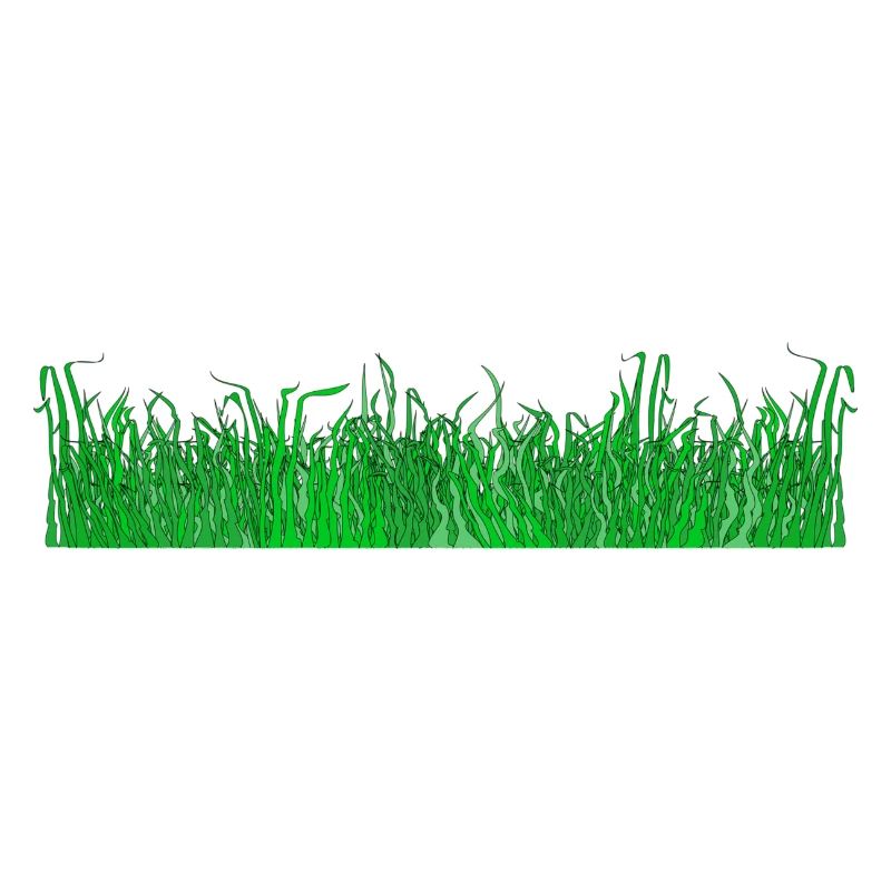 herbe