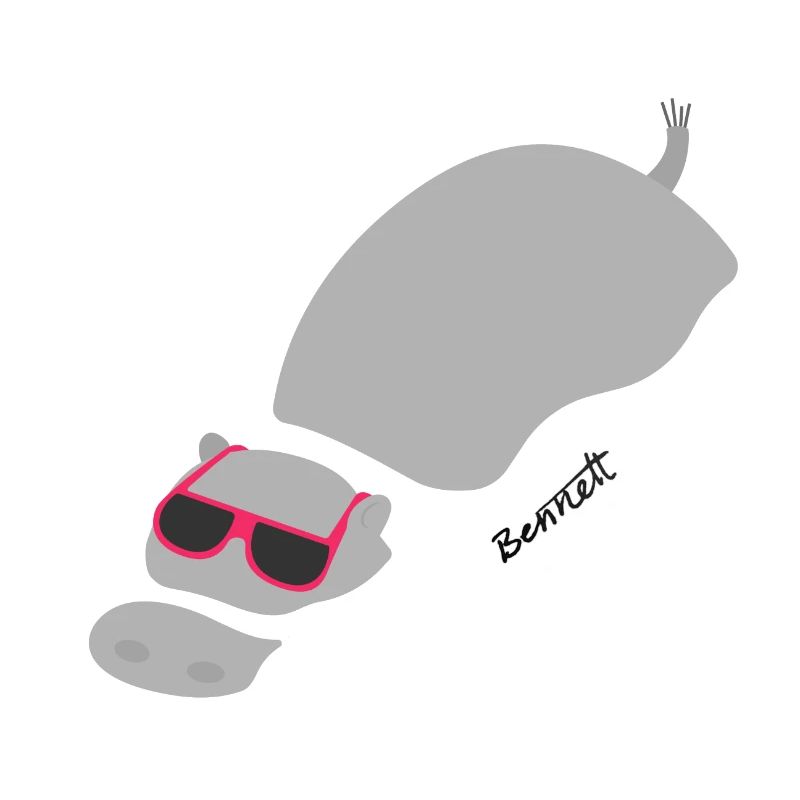 Chillin 'Hippo