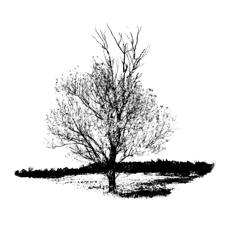 Tree #001