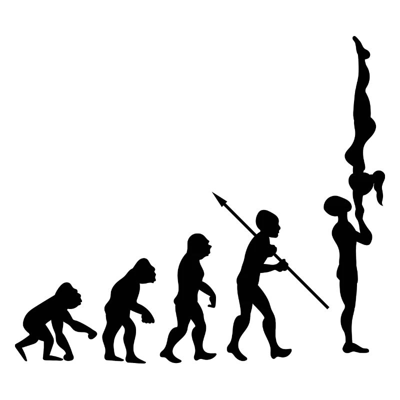 Evolution Gymnastics Gymnastics Acrobatics Gymnastics