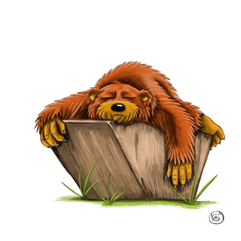Chile out-Bär