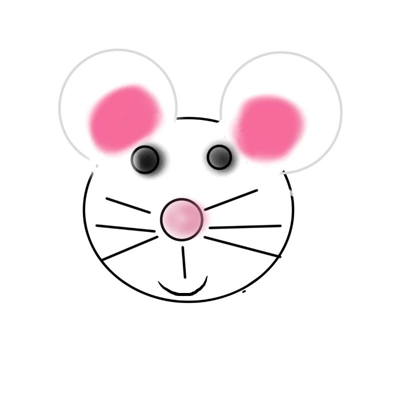 souris