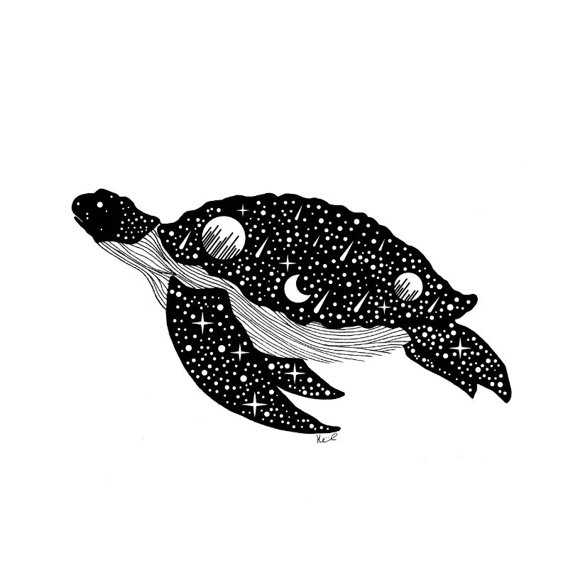 Night Silhouette Turtle
