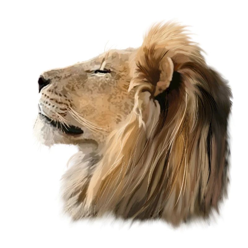 Löwe