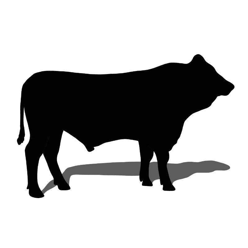 bull