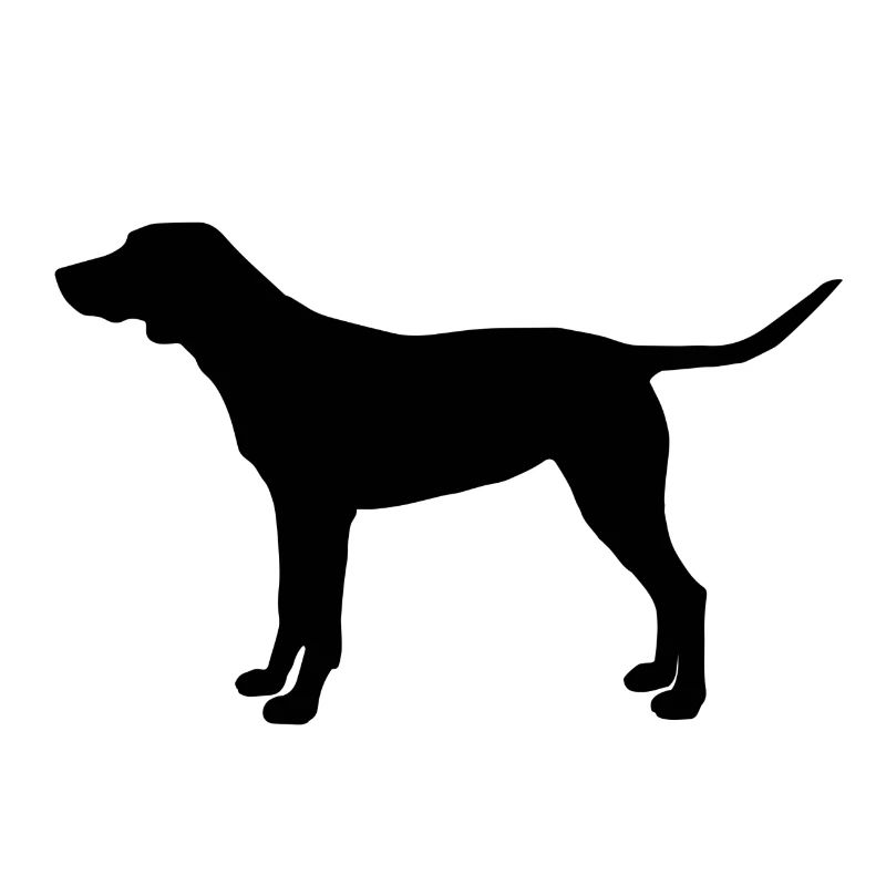 CHIEN