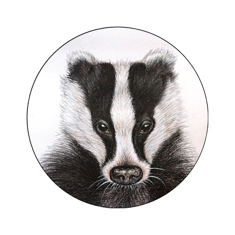 Blaireau /Badger
