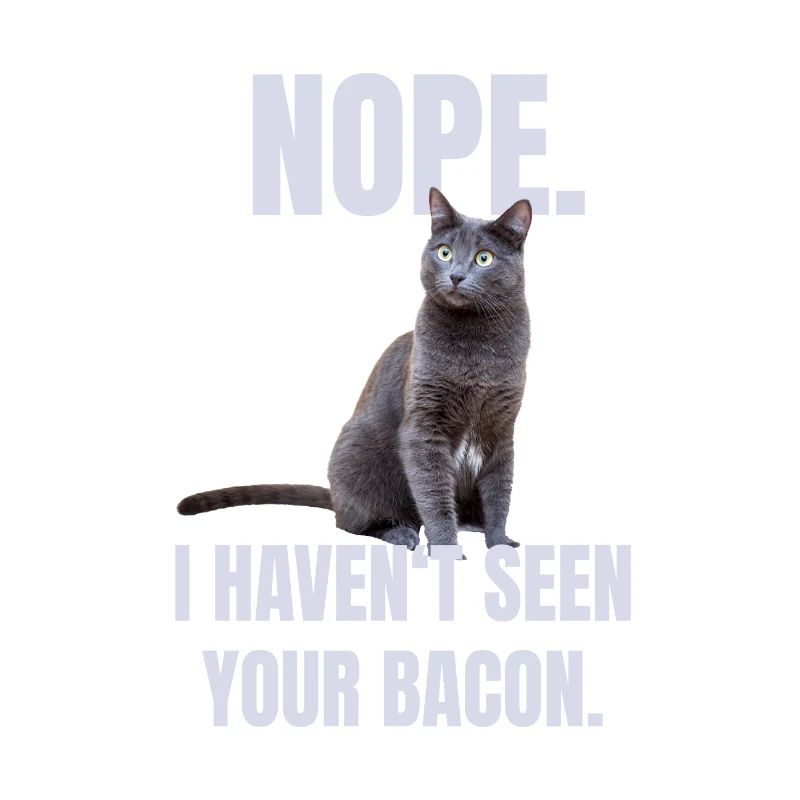 Chat marrant