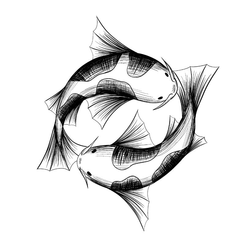 Kois